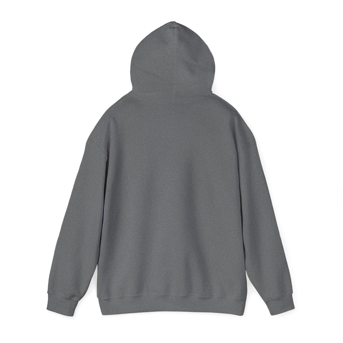 Light It Up Hooded Sweatshirt